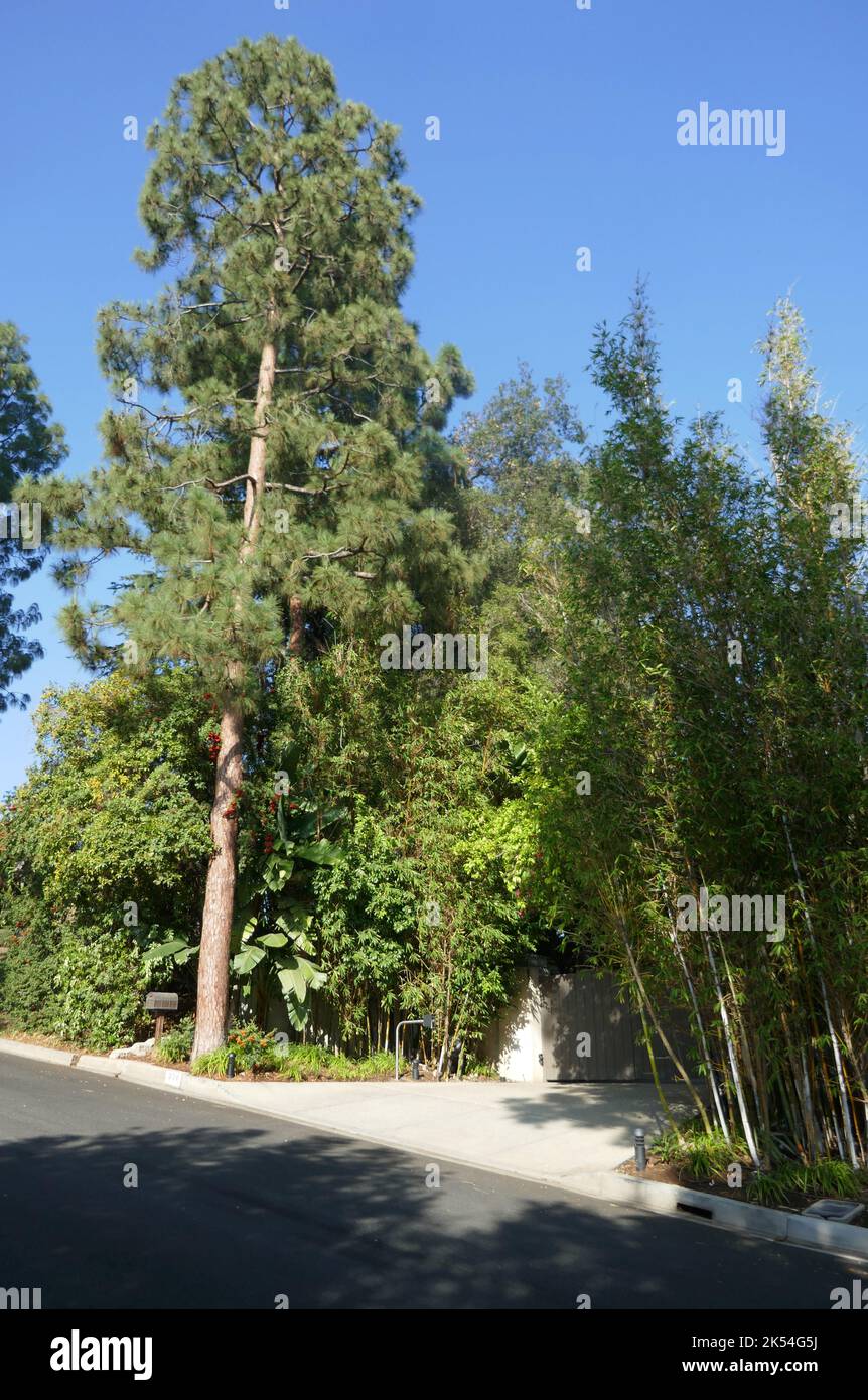 Beverly Hills, California, USA 5th October 2022 A general view of atmosphere of Jeff Bezos and Mackenzie Scott's Former home/house that Mackenzie donated to charity at 930 N. Alpine Drive, and former home of Actor Charles Boyer on October 5, 2022 in Beverly Hills, California, USA. Photo by Barry King/Alamy Stock Photo Stock Photo