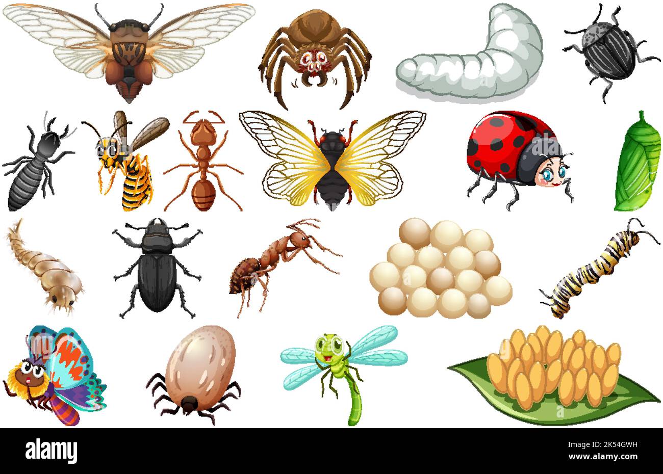 All Insects Types Different kinds of insects collection illustration Stock Vector Image ...