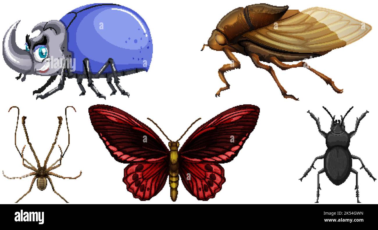 Set of different kinds of insects illustration Stock Vector Image & Art ...