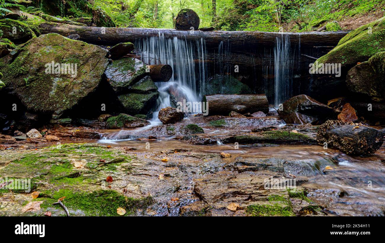 A flowing waterfall falling from rocks surrounded by growing plants ...