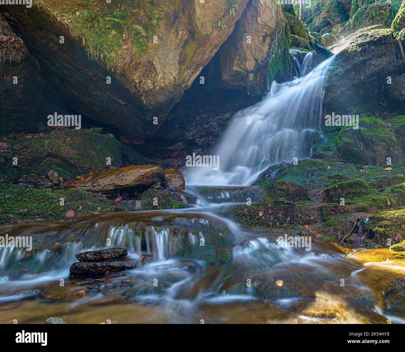 A flowing waterfall falling from rocks surrounded by growing plants ...