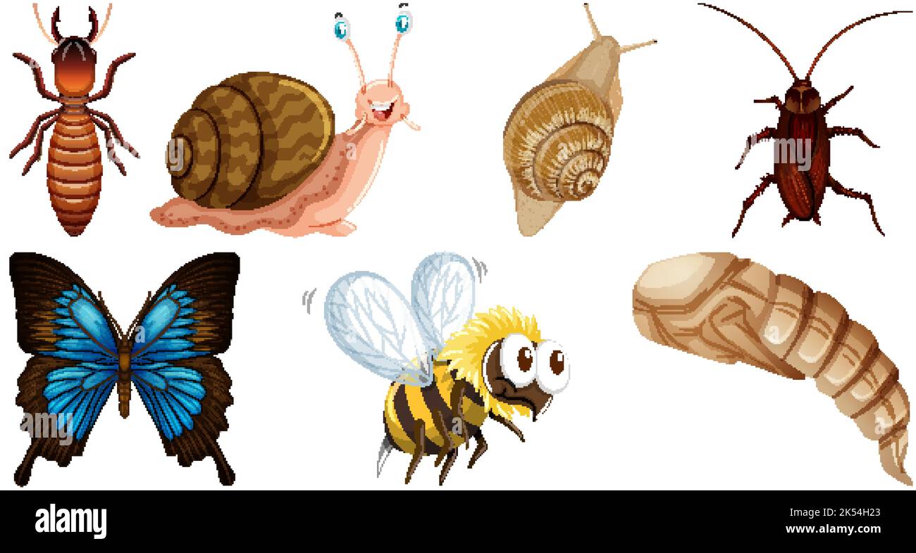Set of different kinds of insects illustration Stock Vector Image & Art ...