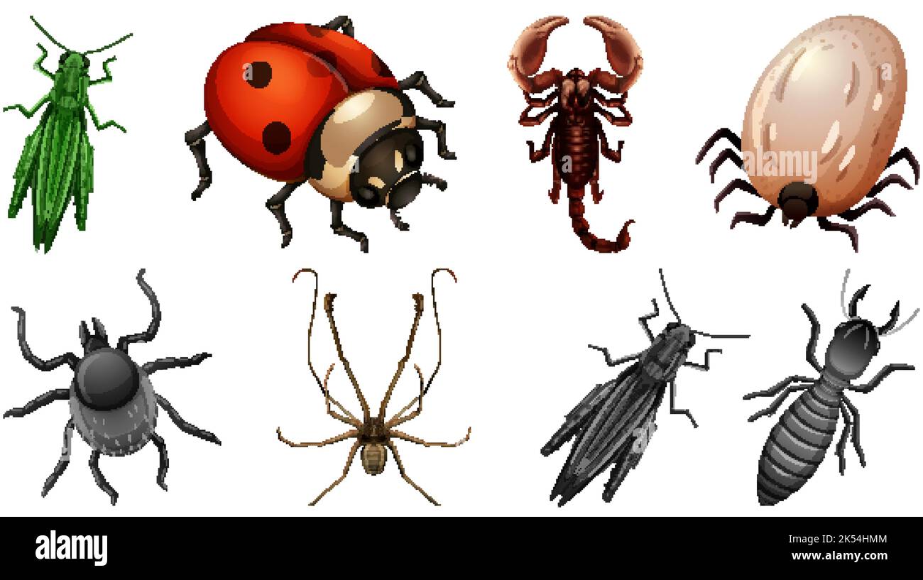 Set of different kinds of insects illustration Stock Vector Image & Art ...