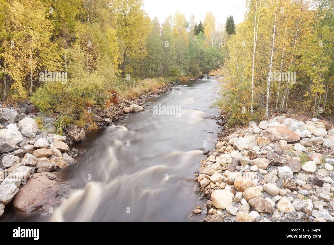 An aerial view of flowing river surrounded by dense trees Stock Photo ...