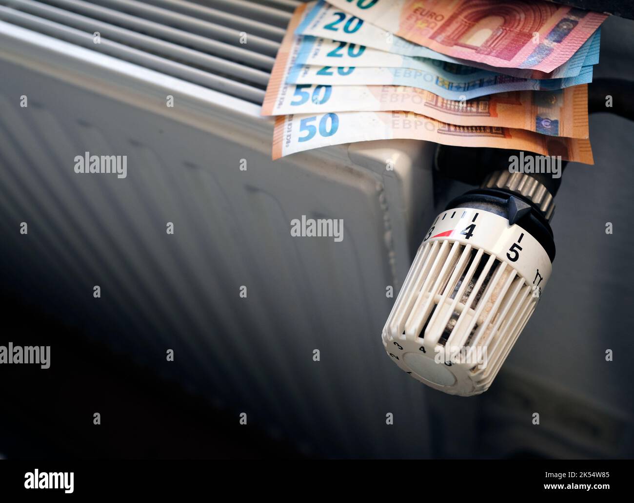 Controlling the heating costs radiator control and Euro bills on the