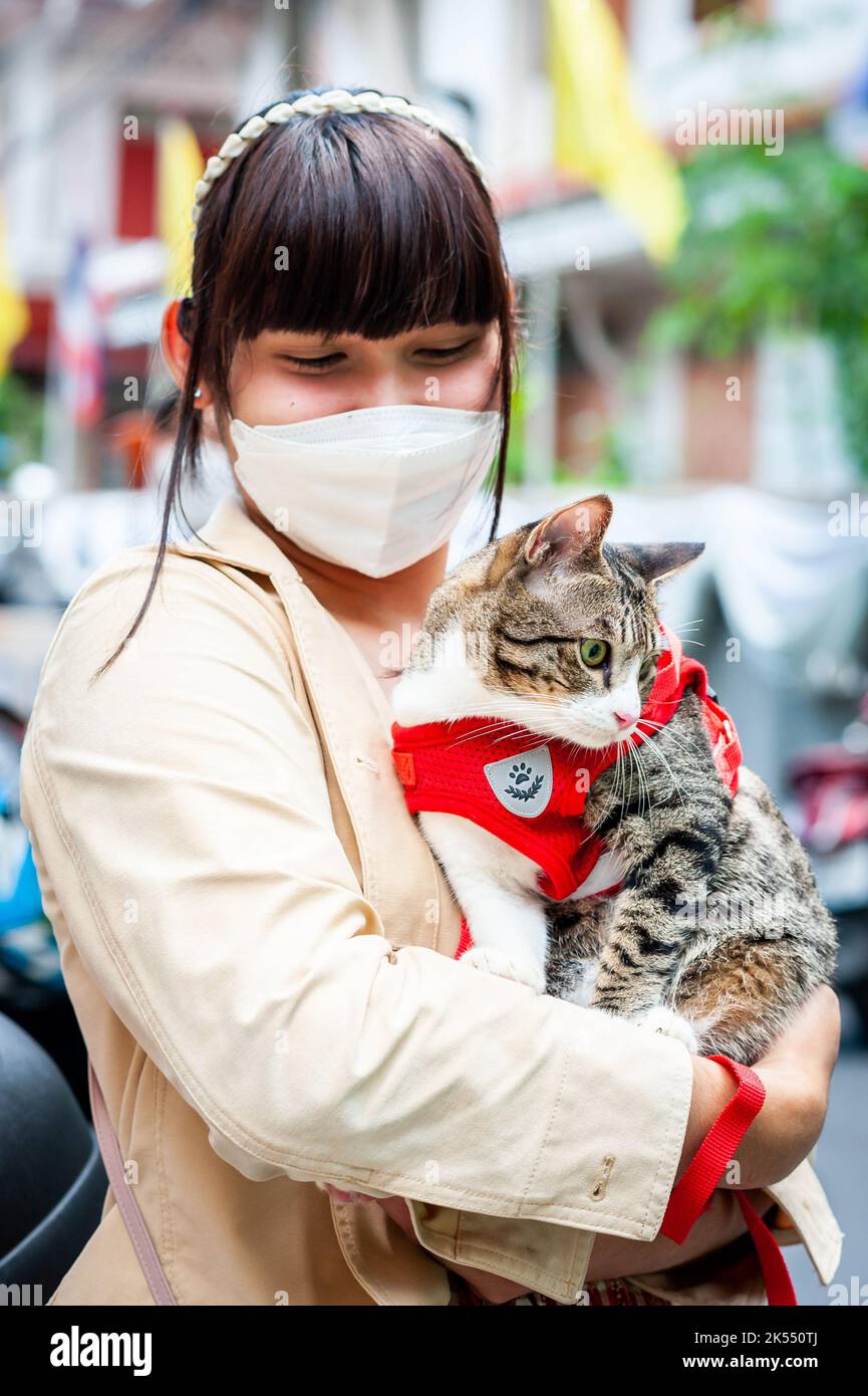 Cat wearing a jacket hi-res stock photography and images - Alamy