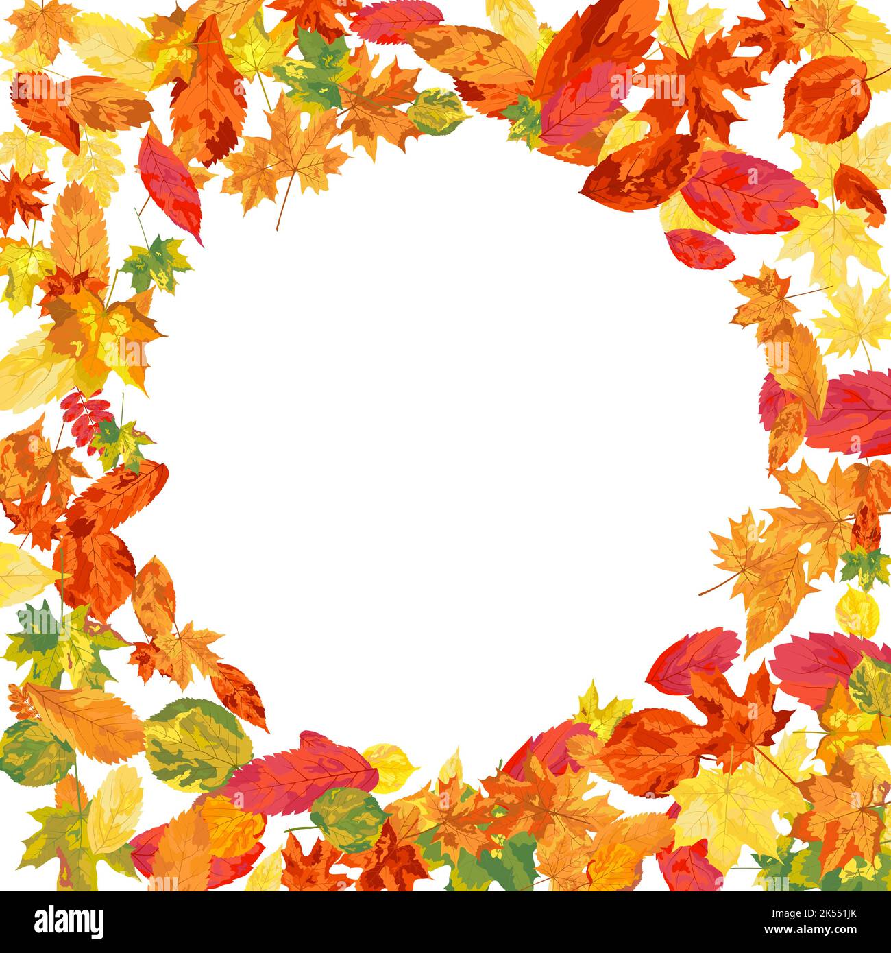 Autumn Frame With Blowing Leaves Over White Background. Elegant Design ...