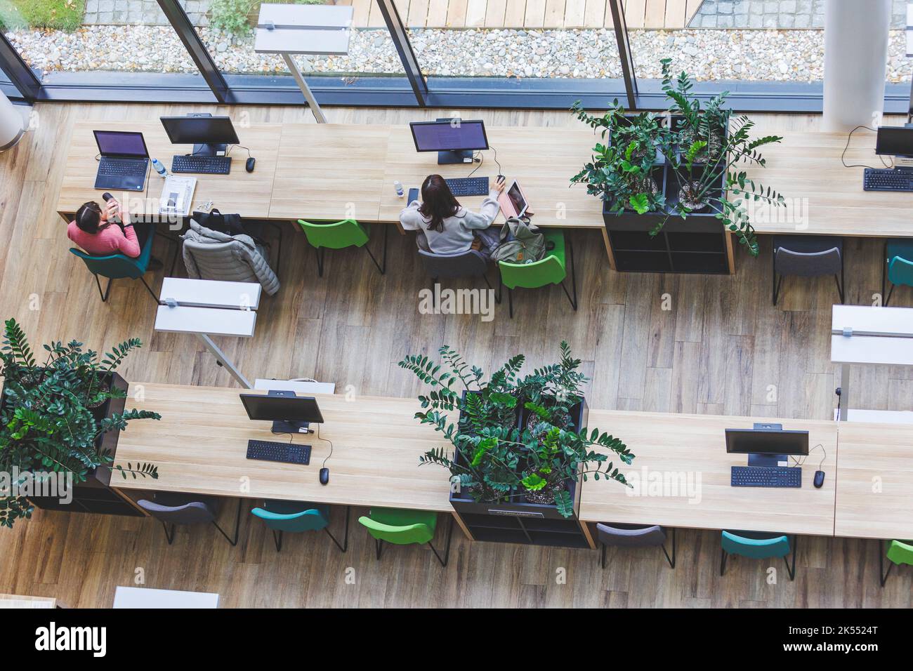 Students studying on library. Top view shot Stock Photo