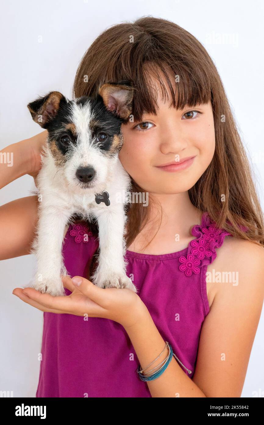 Ten year old girl carrying a Jack Russell puppy dog Stock Photo