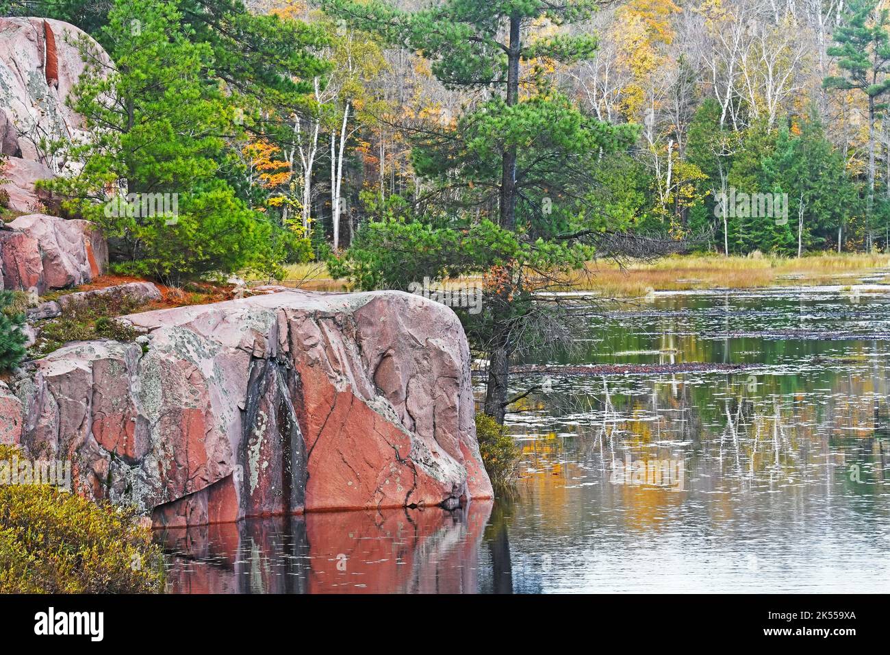 Killarney, cranberry bog trail, Ontario, Canada Stock Photo Alamy