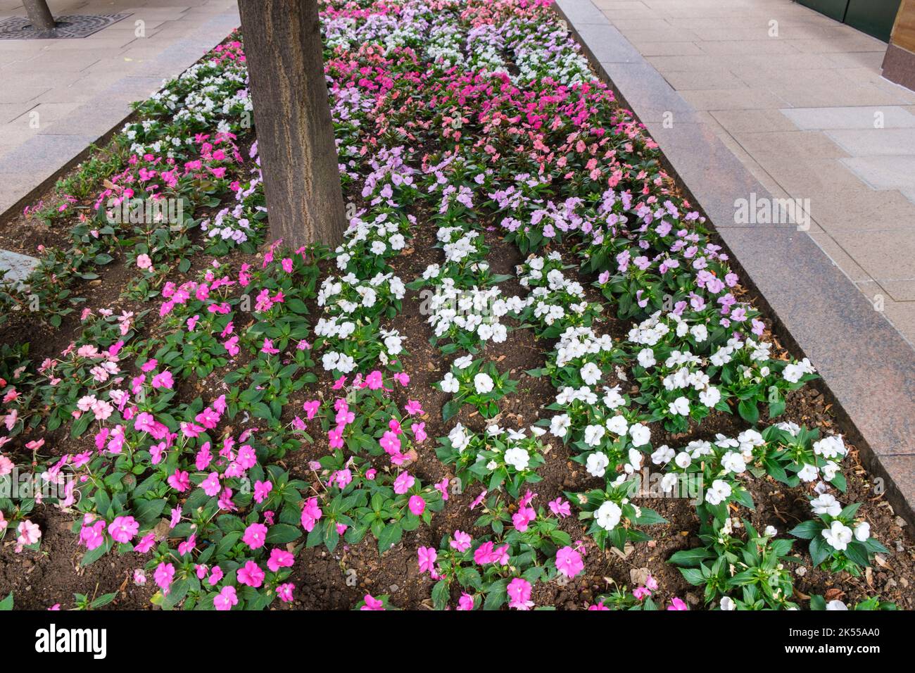 Flowers decorate the pathways and edges of a city garden Stock Photo