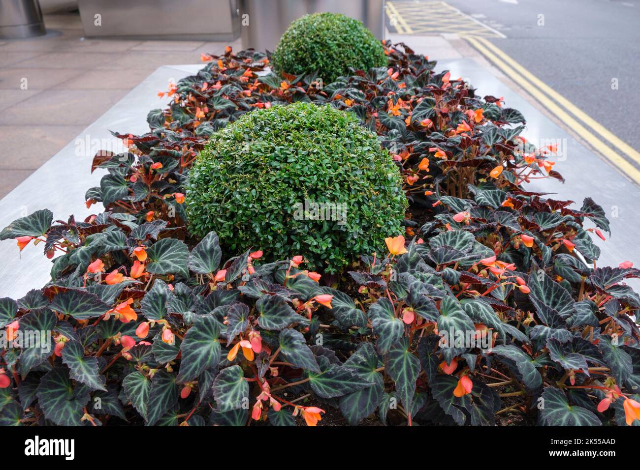 Flowers decorate the pathways and edges of a city garden Stock Photo