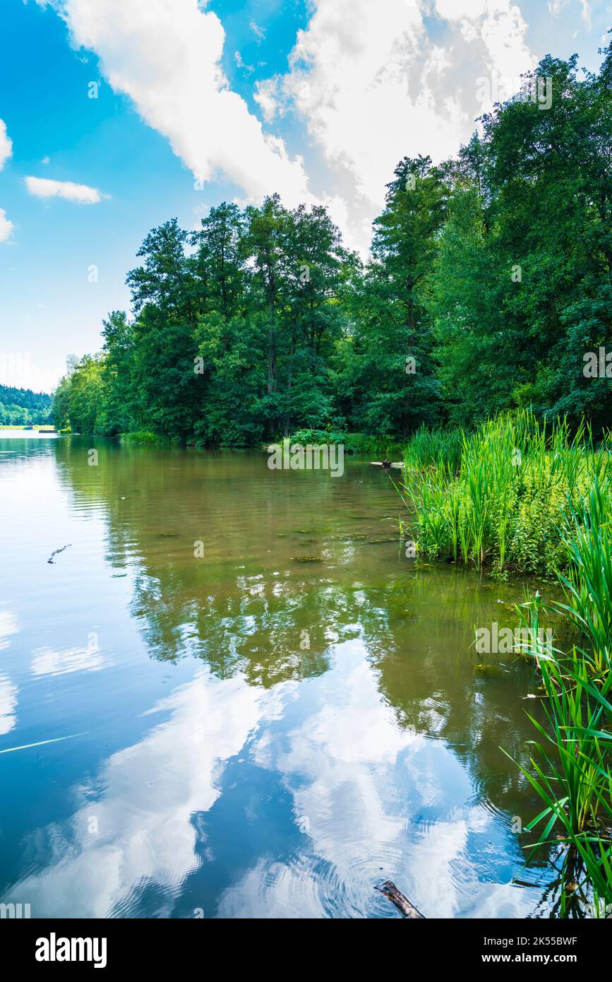 Germany, Ebnisee lake water in natural nature landscape of green trees,  forest near welzheim and kaisersbach in summer on sunny day Stock Photo