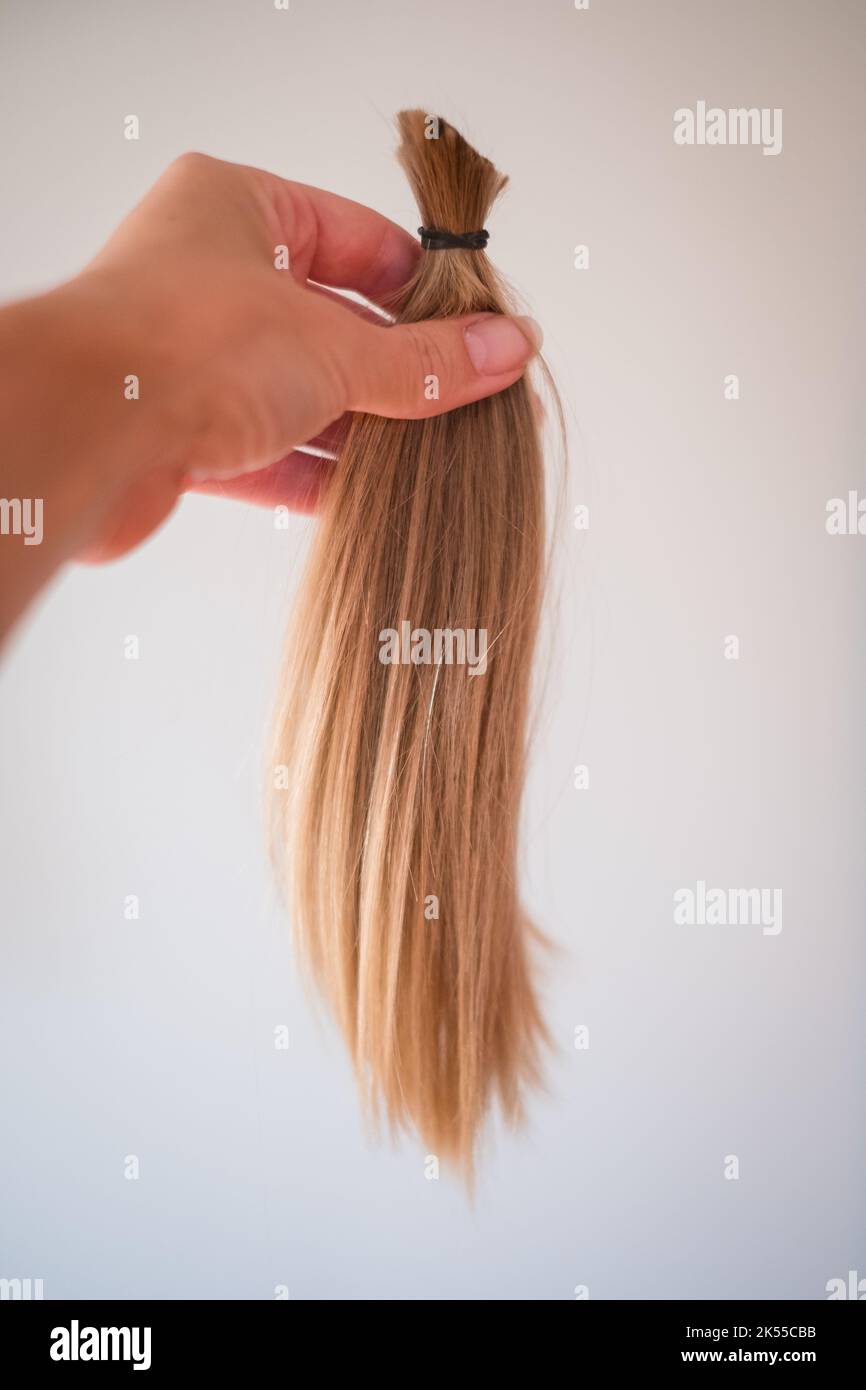 Long cut off natural blond ponytail hair tied together. Stock Photo
