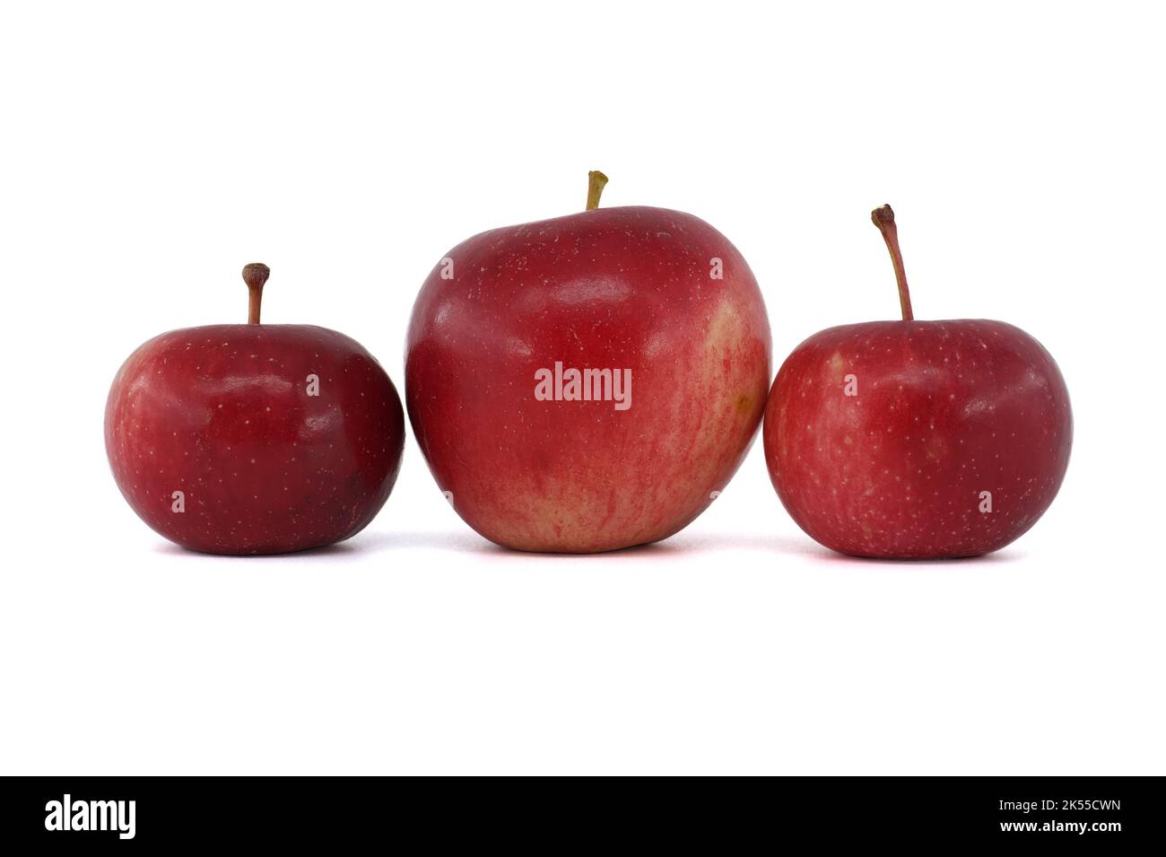 Three red apples of different sizes isolated on a white background Stock Photo