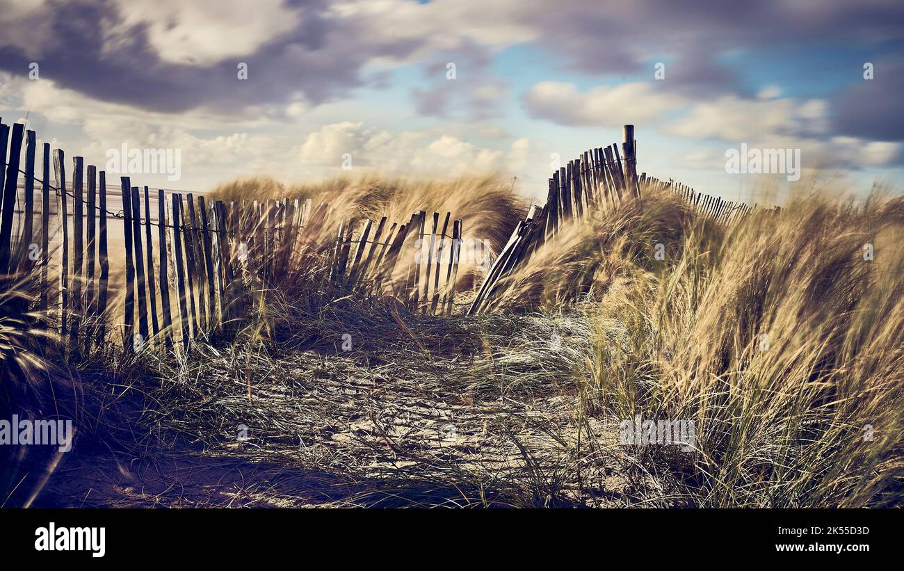 Old wooden fence transversing Fylde Coast sand dunes Stock Photo