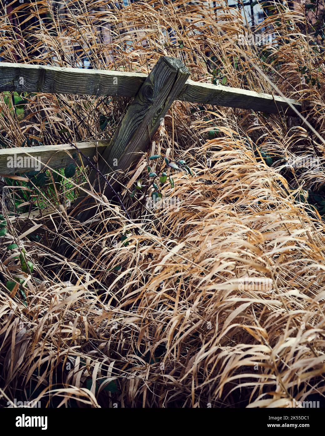 Broken wooden fence and long grass Stock Photo