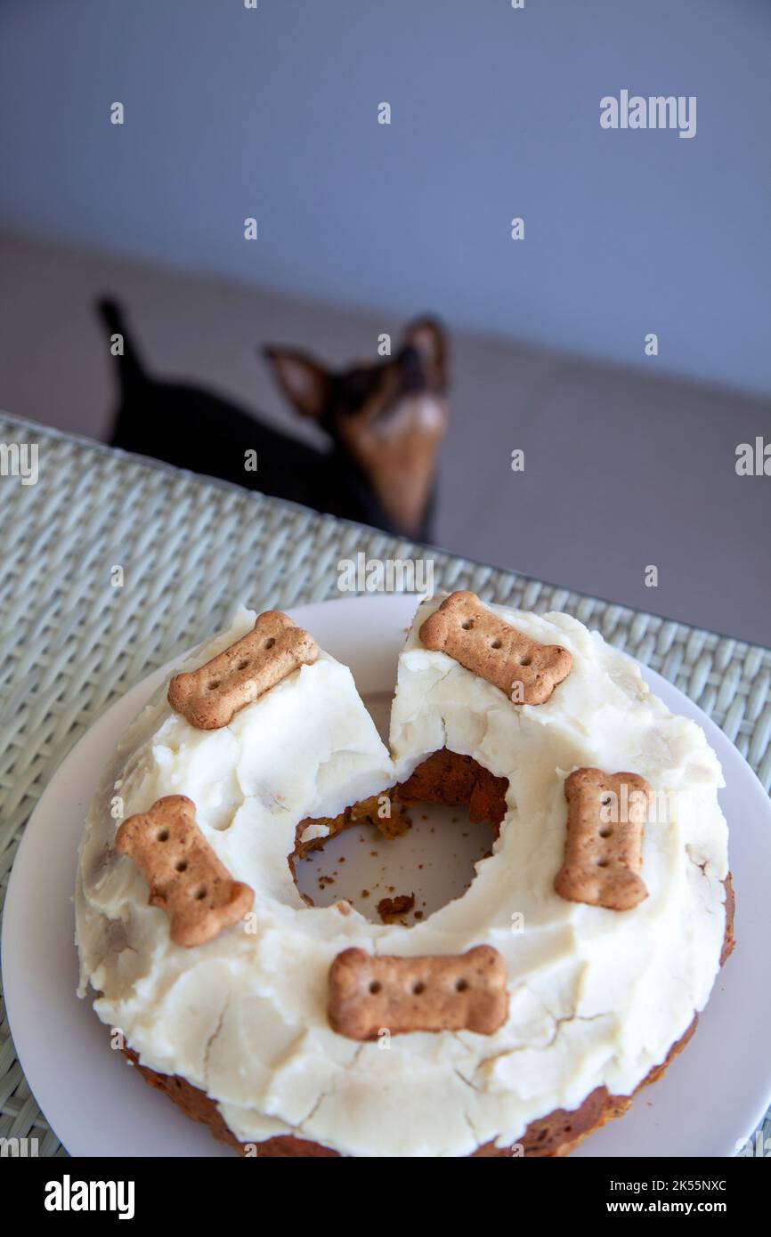 Sniffing cake hires stock photography and images Alamy