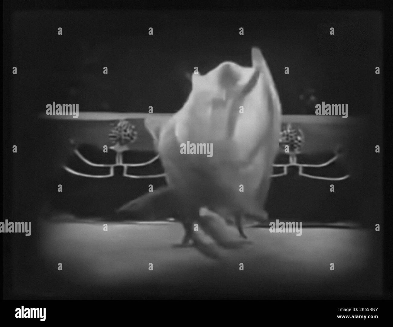 Vintage scrren from the movie Salome from 1923 Stock Photo Alamy