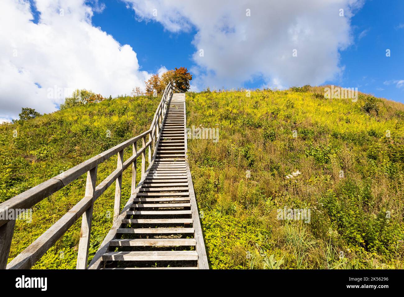 Wooden stairs in the middle of nature to climb up or go down Stock Photo