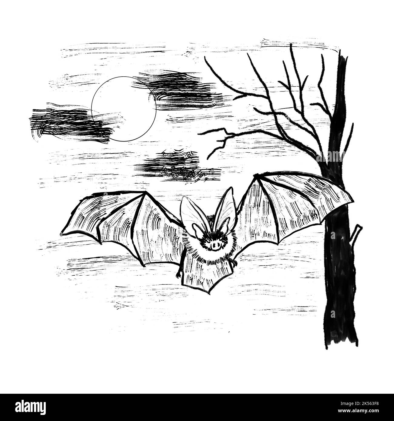 Hand drawn illustration of vampire bat flying in the sky moon tree branches. Black line monochrome design in ink inking shape silhouette outline, minimalist drawing sketch Stock Photo