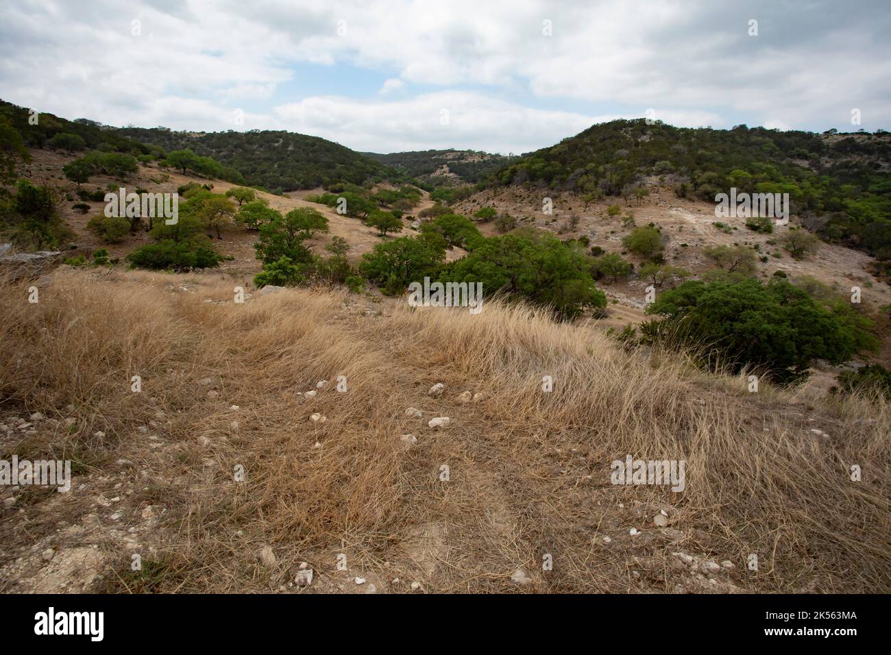 Small Driving Trail In Remote Texas Hill Country Stock Photo Alamy small-driving-trail-in-remote-texas-hill-country-stock-photo-alamy