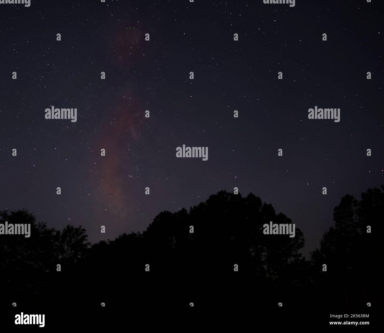 Star willed night with the Milky Way near Raeford North Carolina Stock