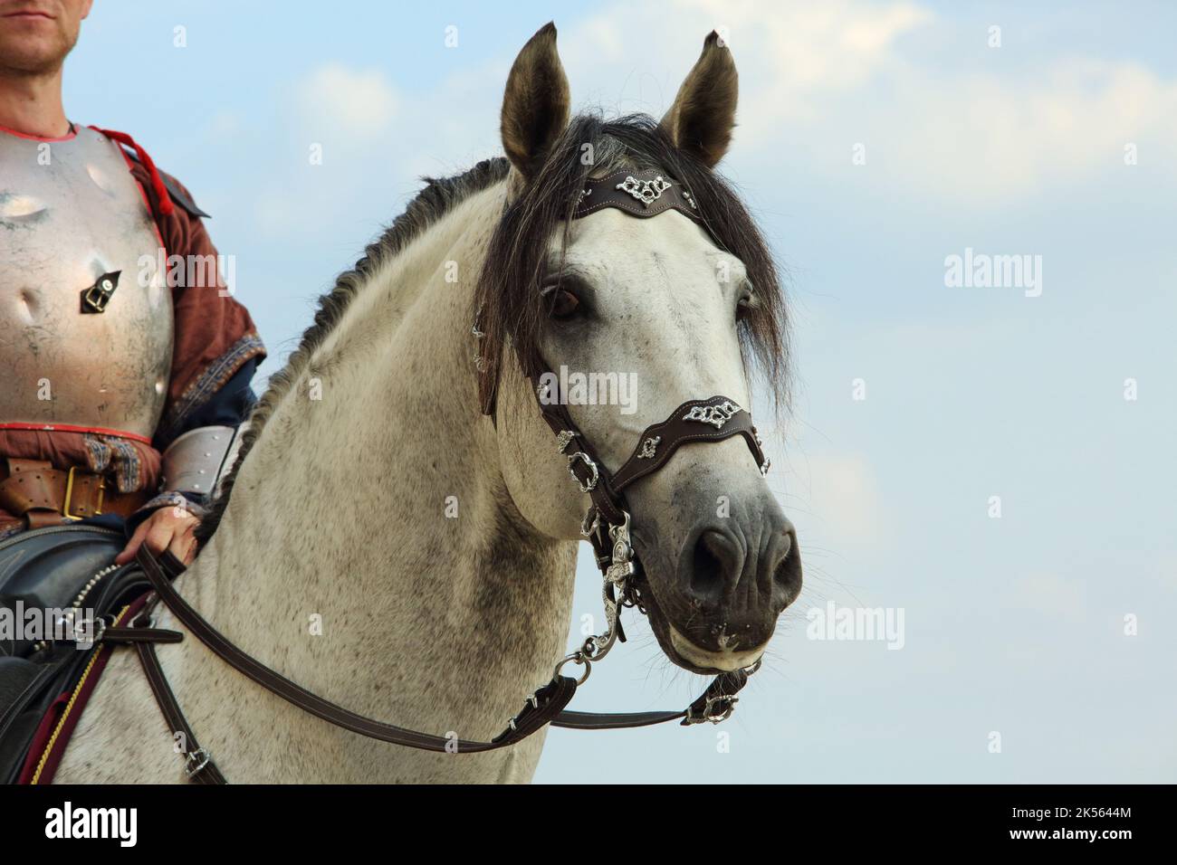 Baroque horse riding hi-res stock photography and images - Alamy