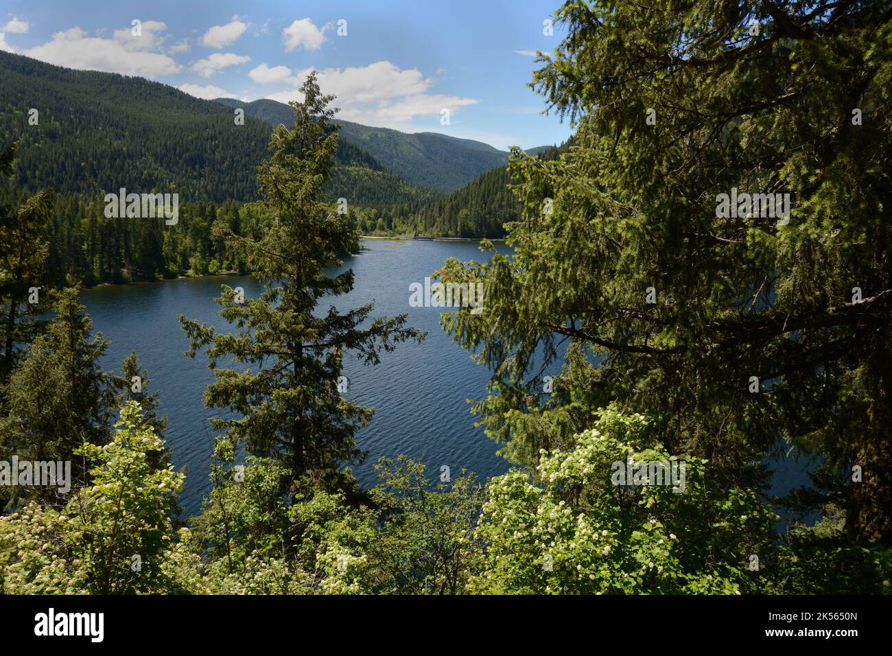 The view of Sullivan Lake, from a hiking trail above the shore, in the Selkirk Mountains of the Colville National Forest, Washington State, USA. Stock Photo