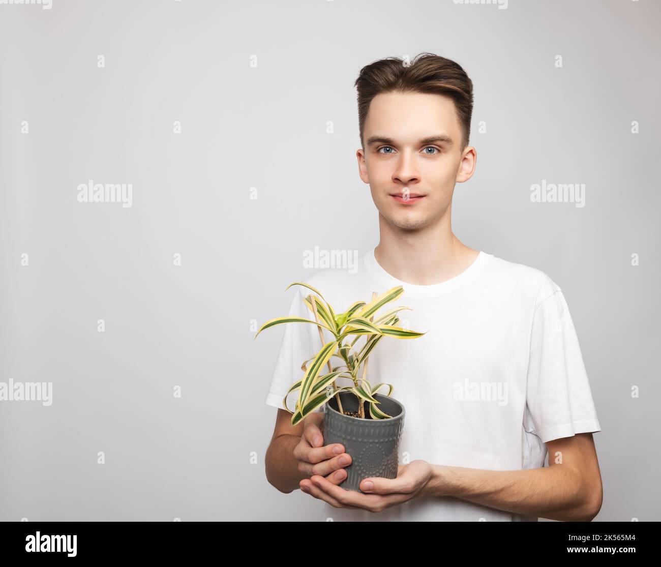 Portrait of cheerful young man wearing white t-shirt holding potted house plant looking at camera smiling. Studio shot on gray background Stock Photo