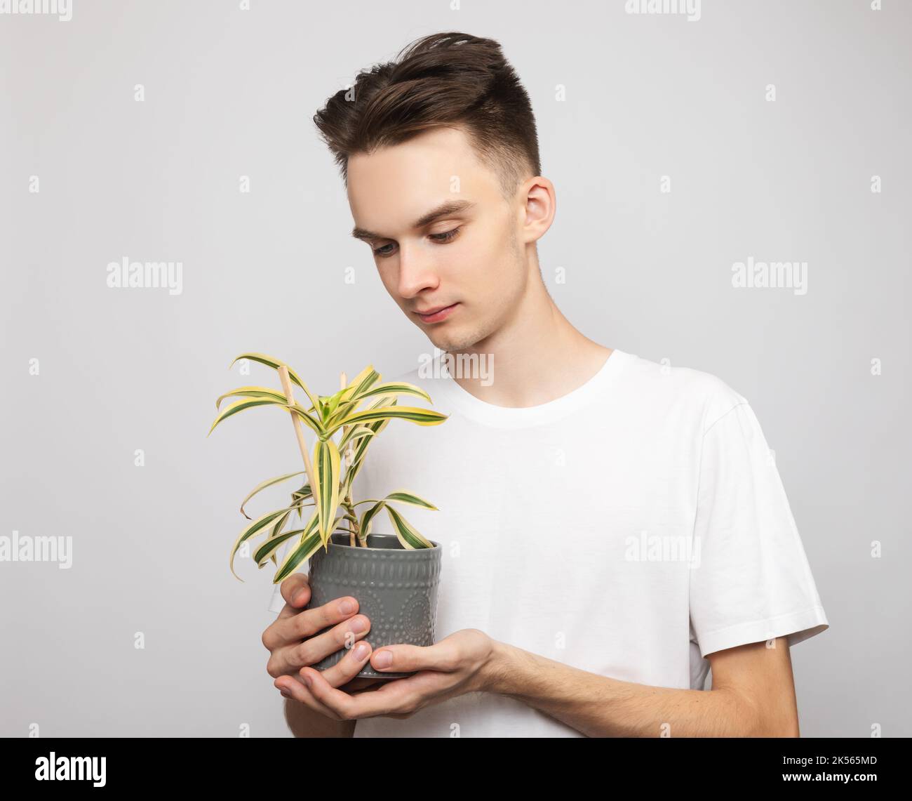 Portrait of cheerful young man wearing white t-shirt holding potted house plant. Studio shot on gray background Stock Photo