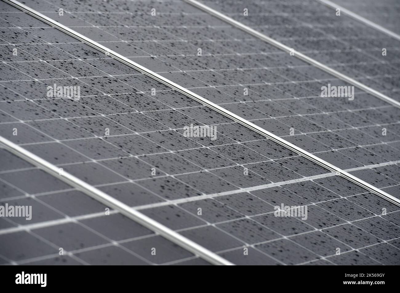 Launch of SUAS GROUP´s first photovoltaic park in Lipnice near Sokolov, Czech Republic, October 6, 2022. (CTK Photo/Slavomir Kubes) Stock Photo