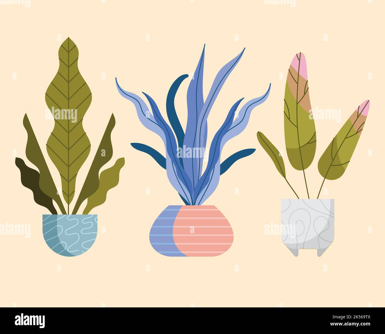 three houseplants in pots icons Stock Vector Image & Art - Alamy