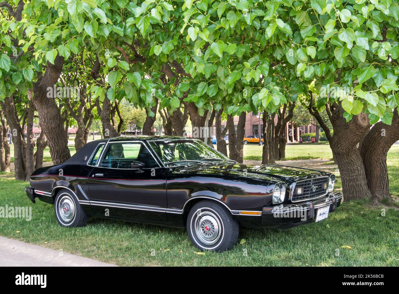 DEARBORN, MI/USA - JUNE 17, 2017: A 1977 Ford Mustang II car at The Henry Ford (THF) Motor Muster car show, Greenfield Village, near Detroit, Michigan Stock Photo