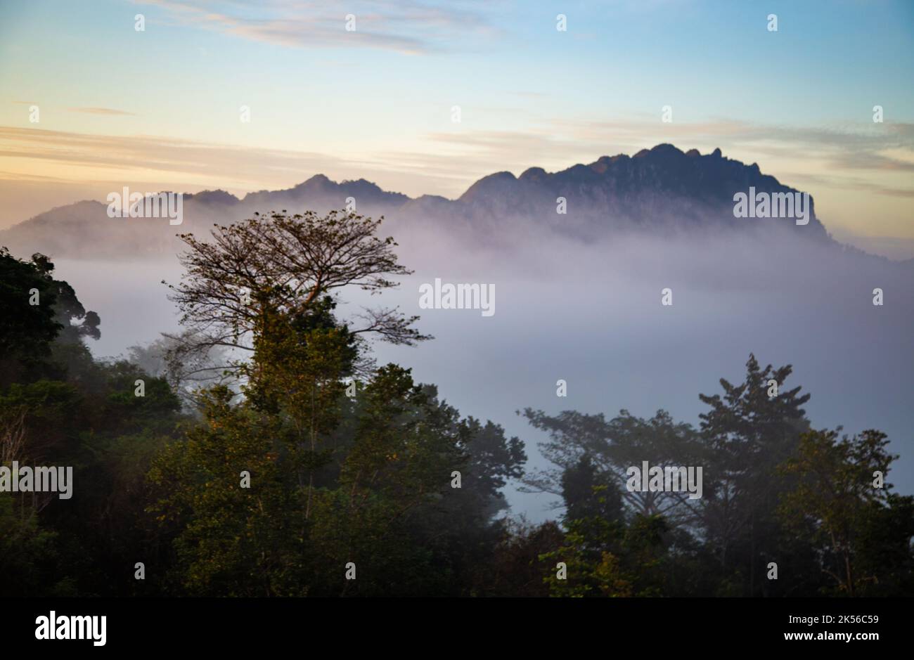 Sunrise sea of fog above Khao Sok national park, Surat Thani, Thailand Stock Photo