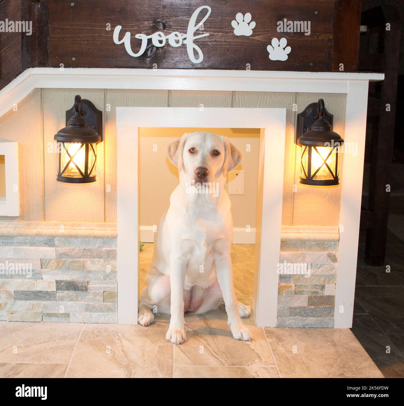 Labrador Retriever's Custom Indoors Dog House Under Living Room L-shaped (a.k.a. quarter-turn) Stairs Stock Photo