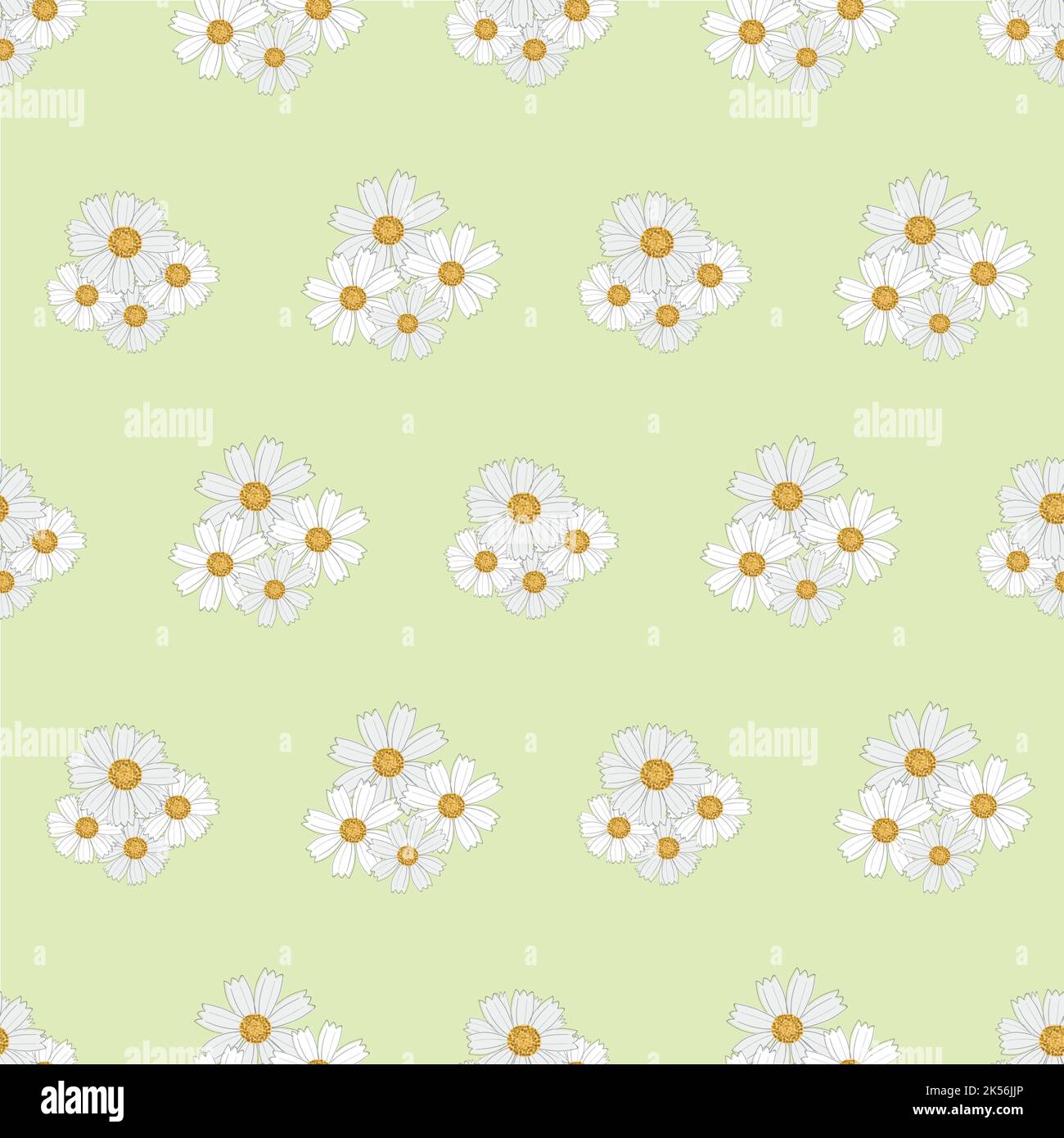 Chamomile floral seamless vector pattern background. Groups of flower Chamomile floral seamless vector pattern background. Groups of flower