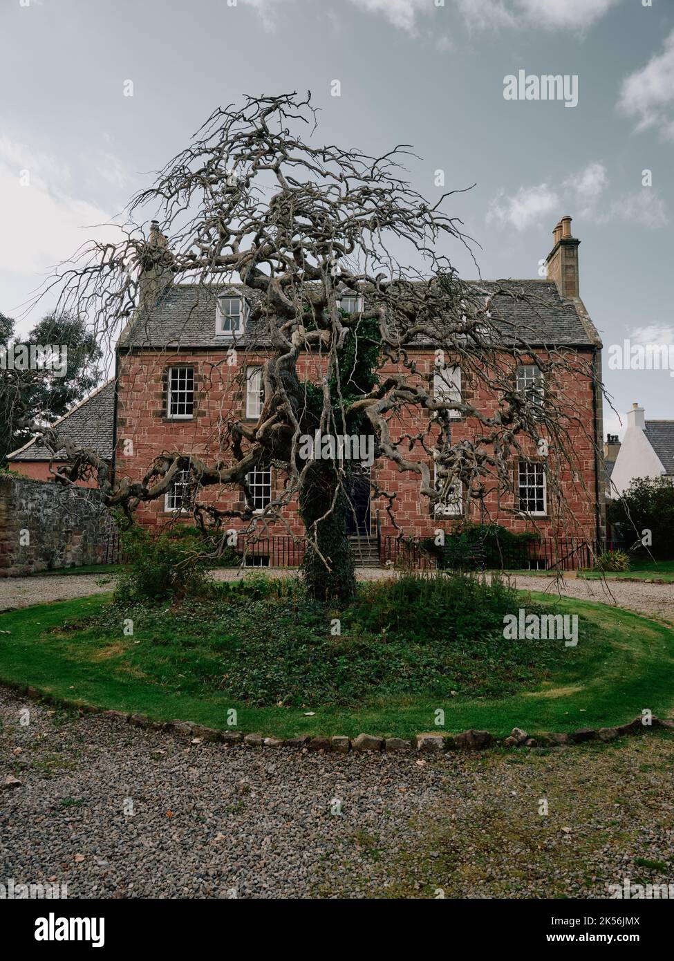 The house and garden with tree architecture of the old town in Cromarty