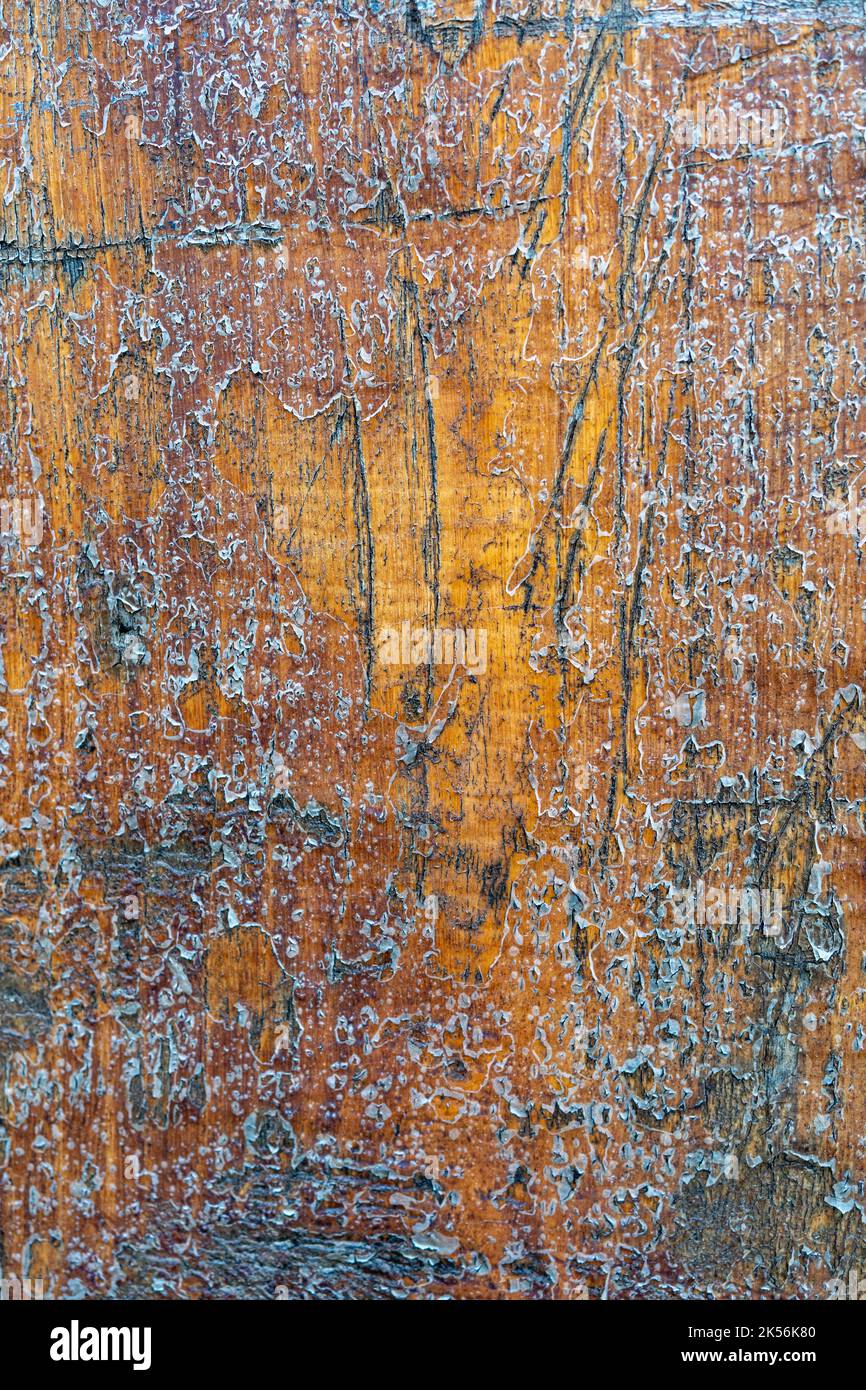 old rustic brown rustic wood background Stock Photo
