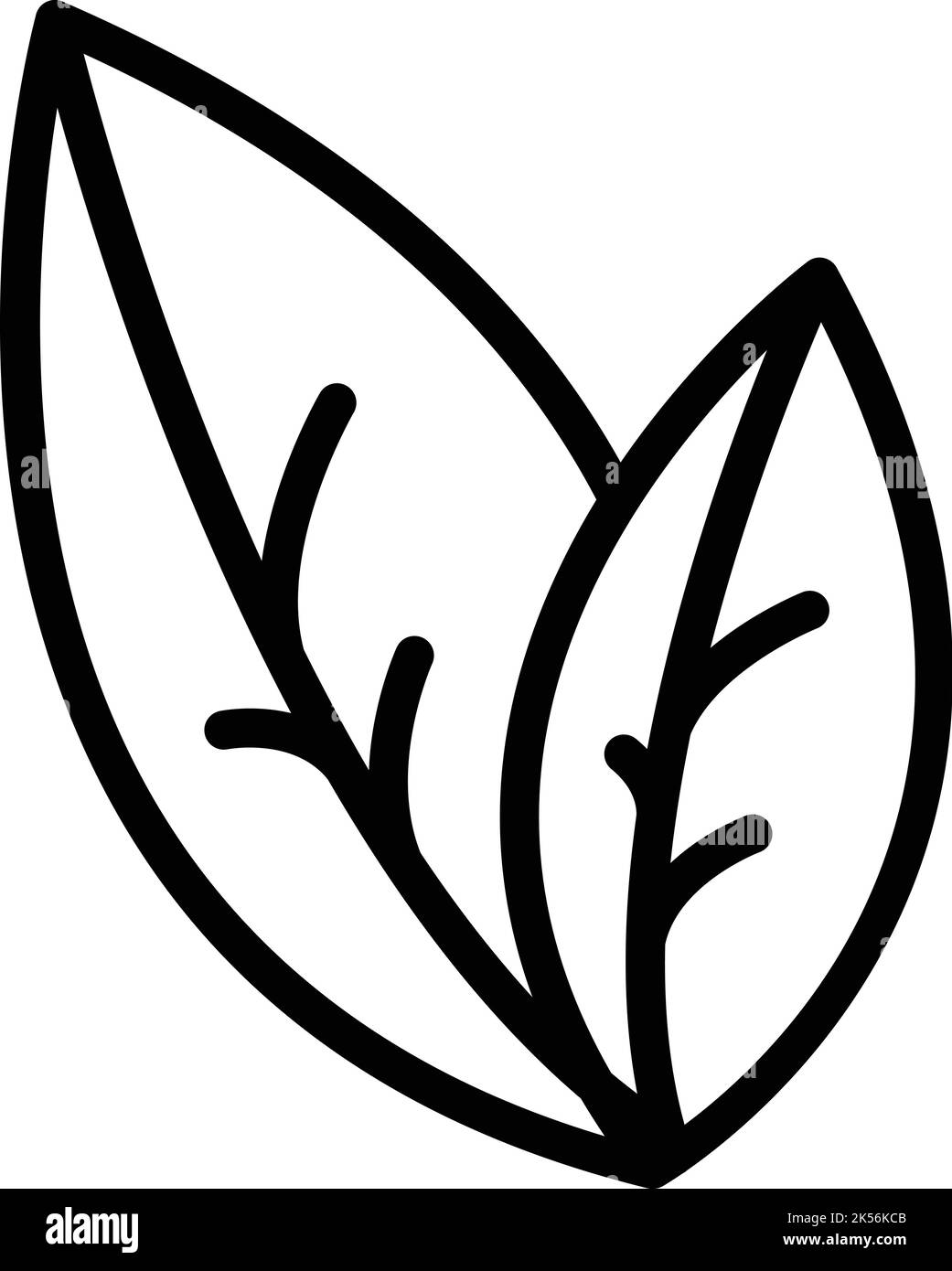 Oregano plant icon outline vector. Leaf herb. Garden food Stock Vector
