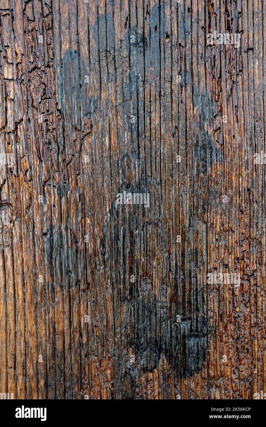 old rustic brown rustic wood background Stock Photo