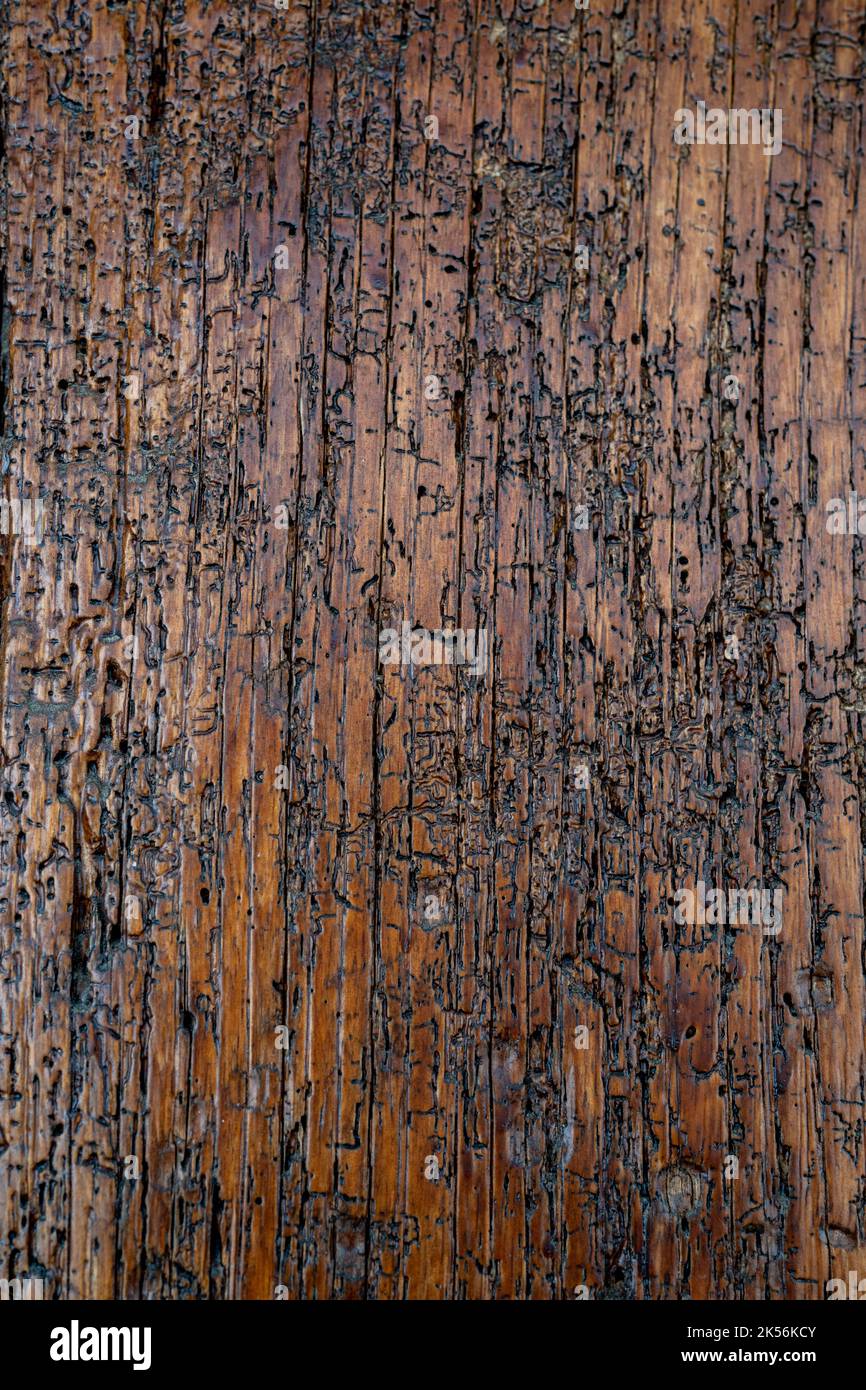 old rustic brown rustic wood background Stock Photo