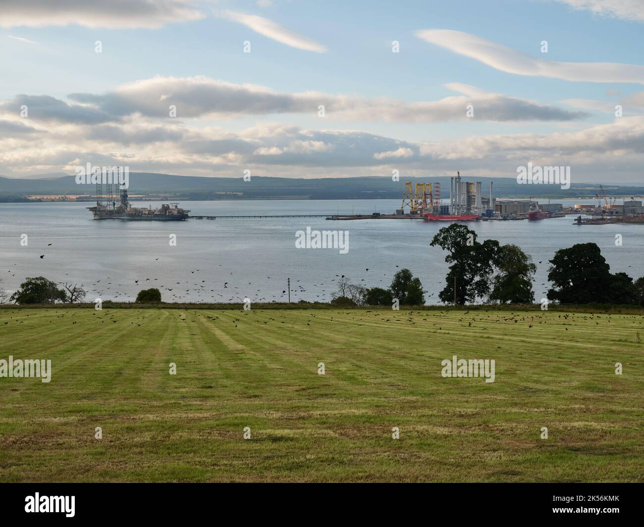 The summer farming landscape and coastline of the Cromatry Firth with a field of crows, Cromarty, Black Isle, Ross and Cromarty, Highland Scotland UK Stock Photo