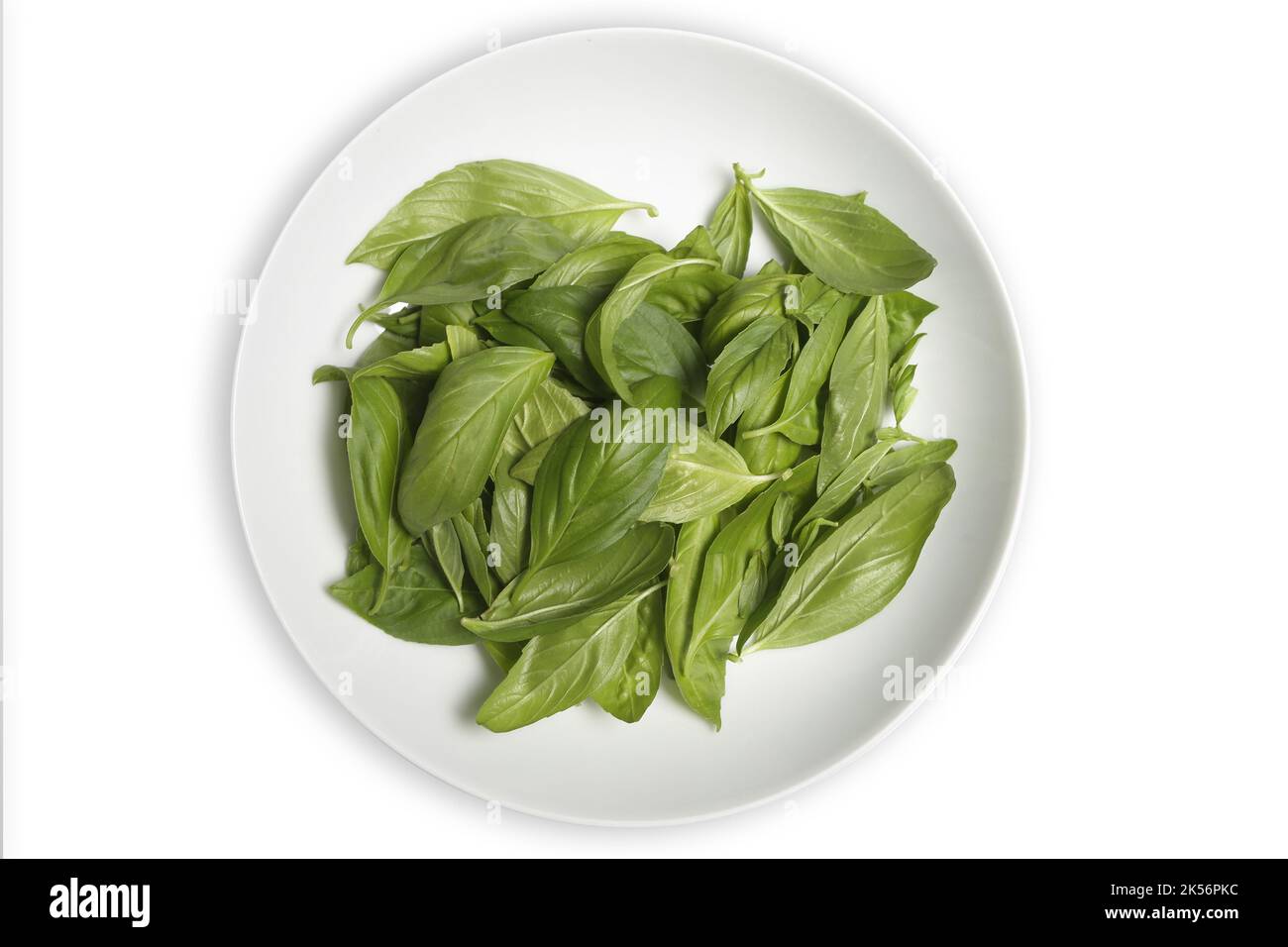 fresh basil leaves in the dish Stock Photo