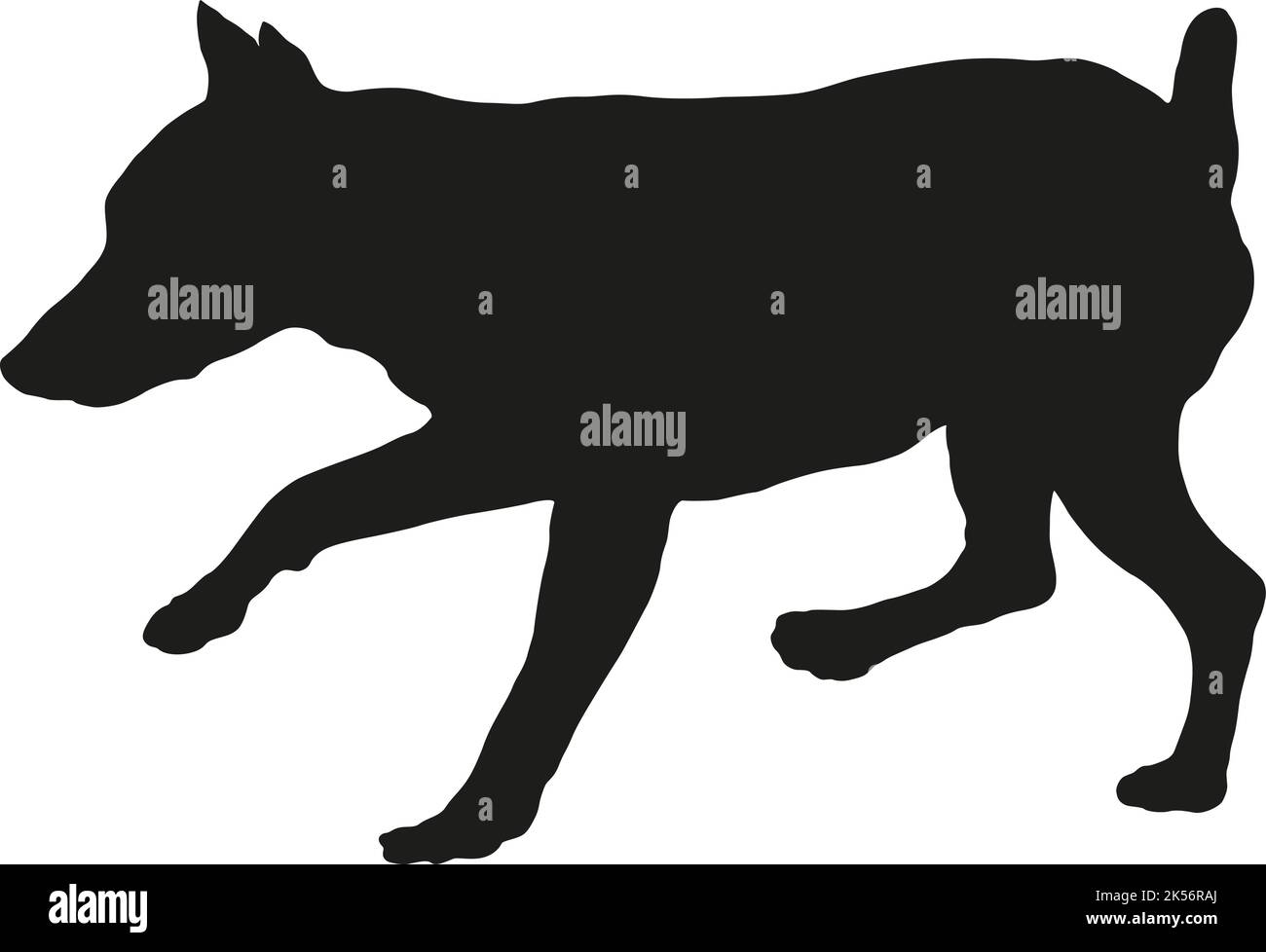 Black dog silhouette. Running zwergpinscher puppy. Miniature pinscher or king of the toys. Pet animals. Isolated on a white background. Illustration. Stock Vector