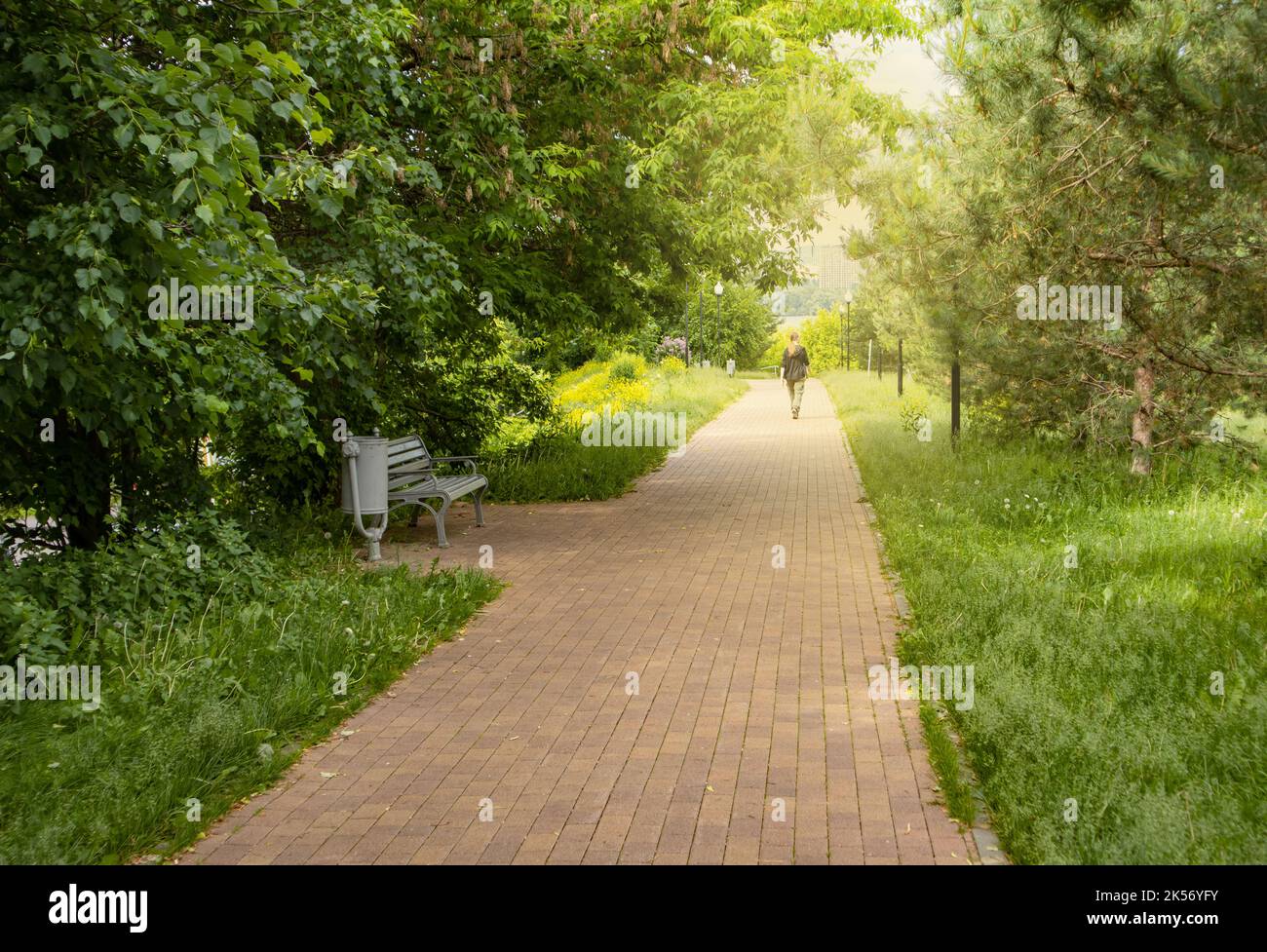 A path for walking in a city park with sunlight and shadows. Silhouette ...