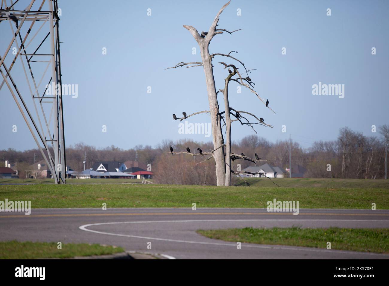 POVERTY POINT RESERVOIR STATE PARK, DELHI, LOUISIANA/USA MARCH 05