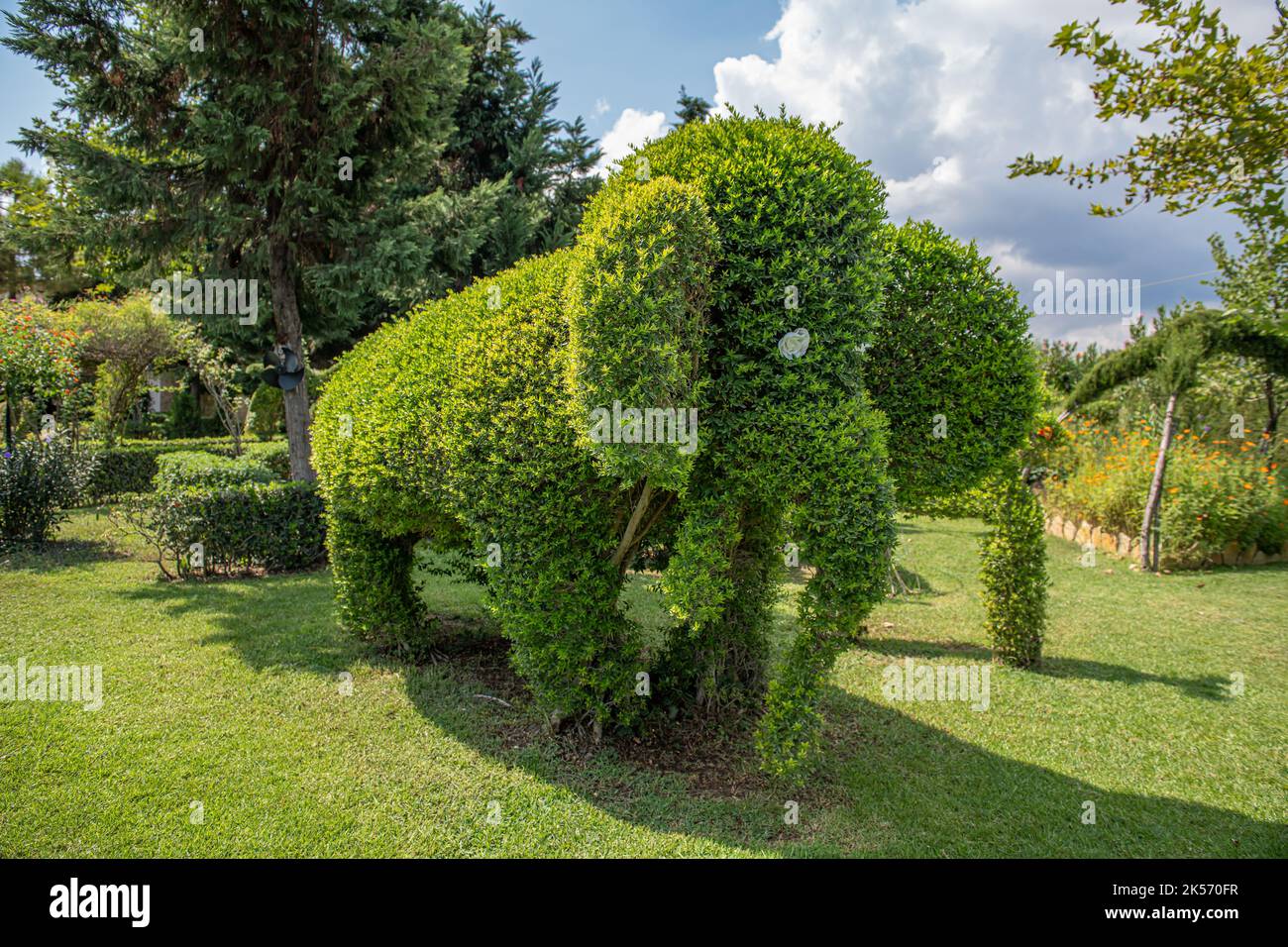 Topiary elephant. Stock Photo