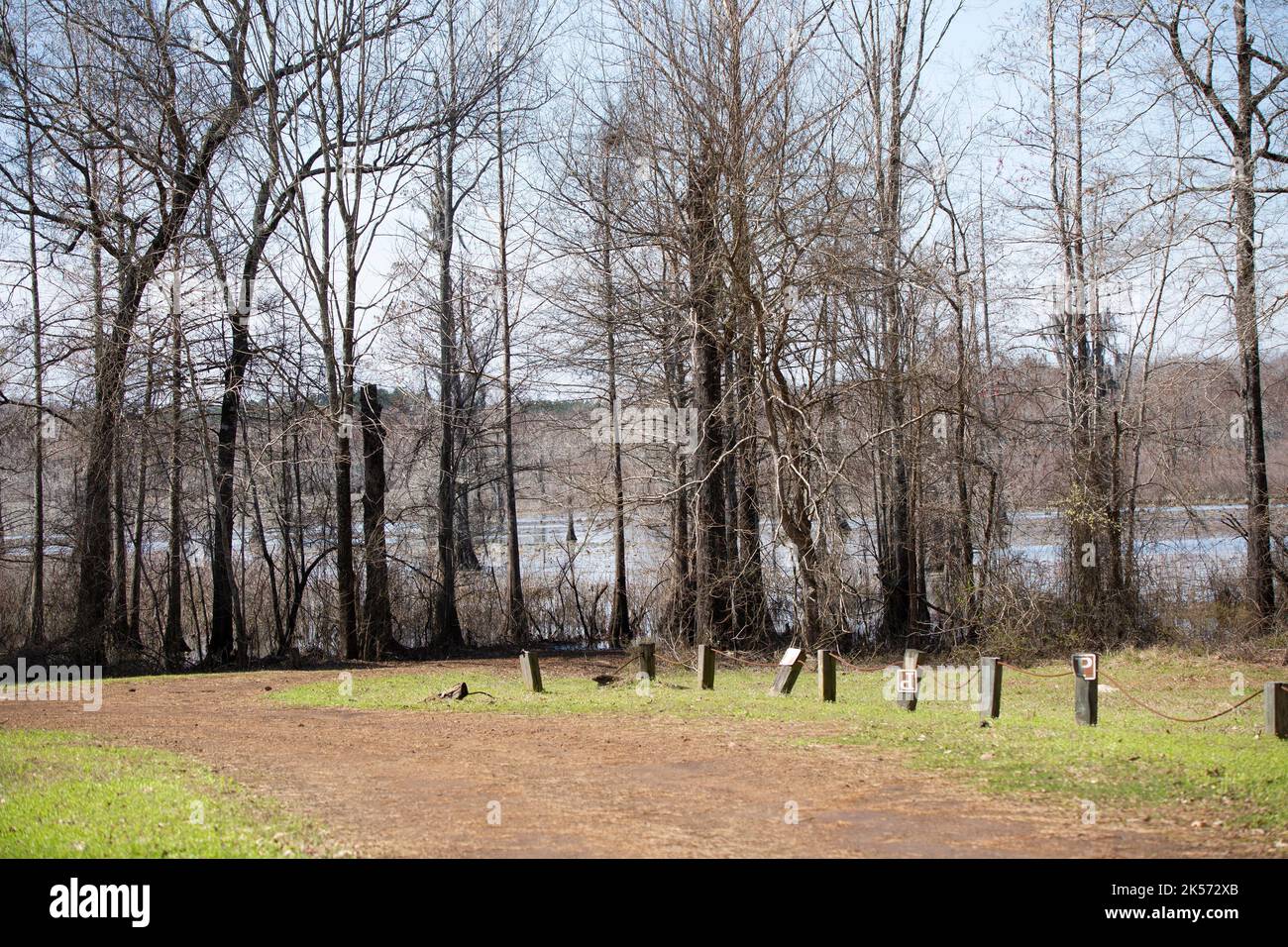 LAKE IATT RECREATIONAL AREA, KISATCHIE NATIONAL FOREST, LOUISIANA/USA