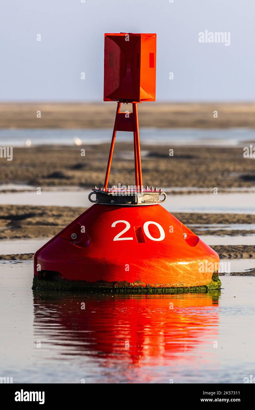 France, Somme, Baie de Somme, Le Hourdel, The buoys marking the
